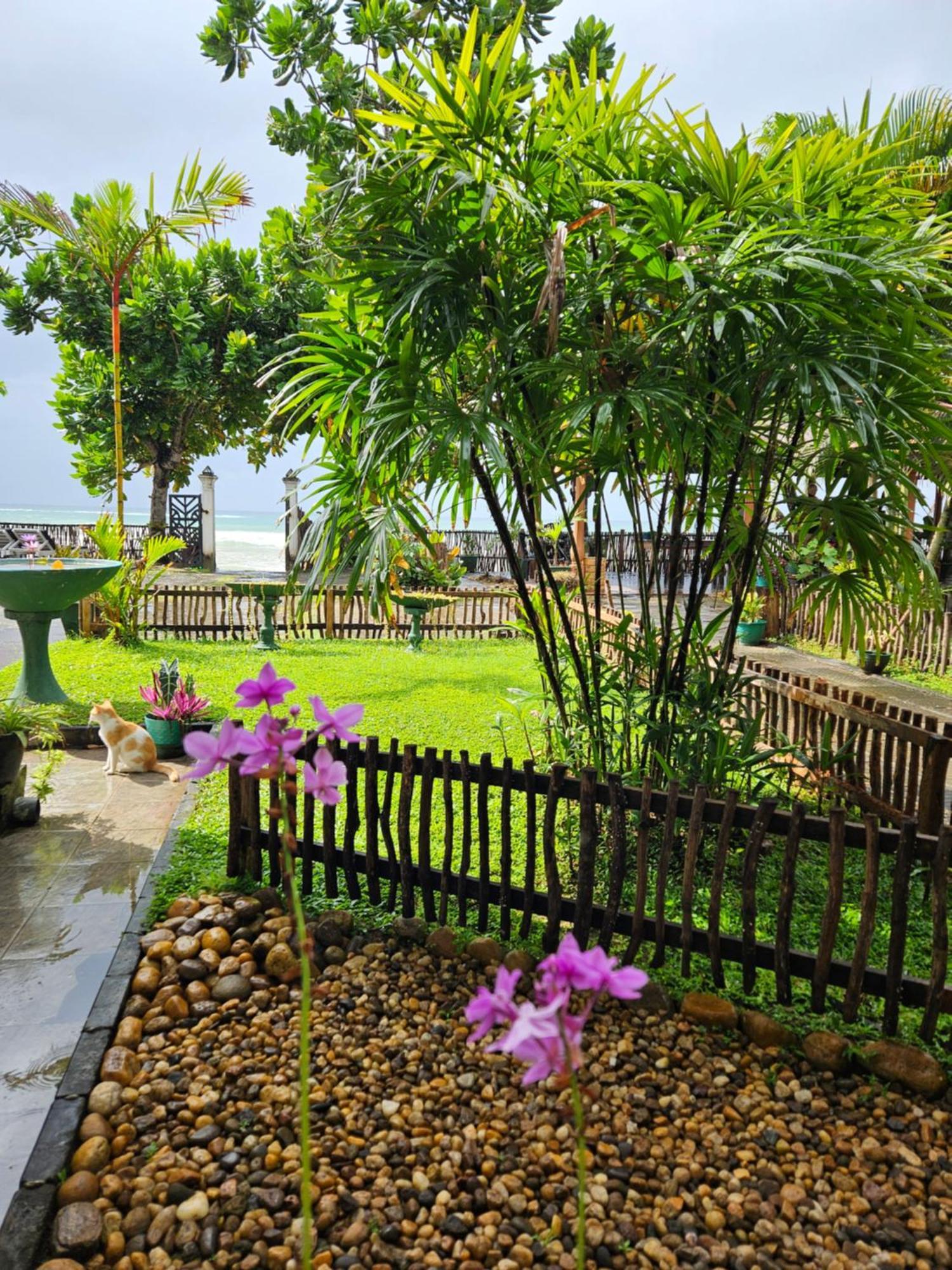 Balance Beach Resort ديكويلاّ تين المظهر الخارجي الصورة