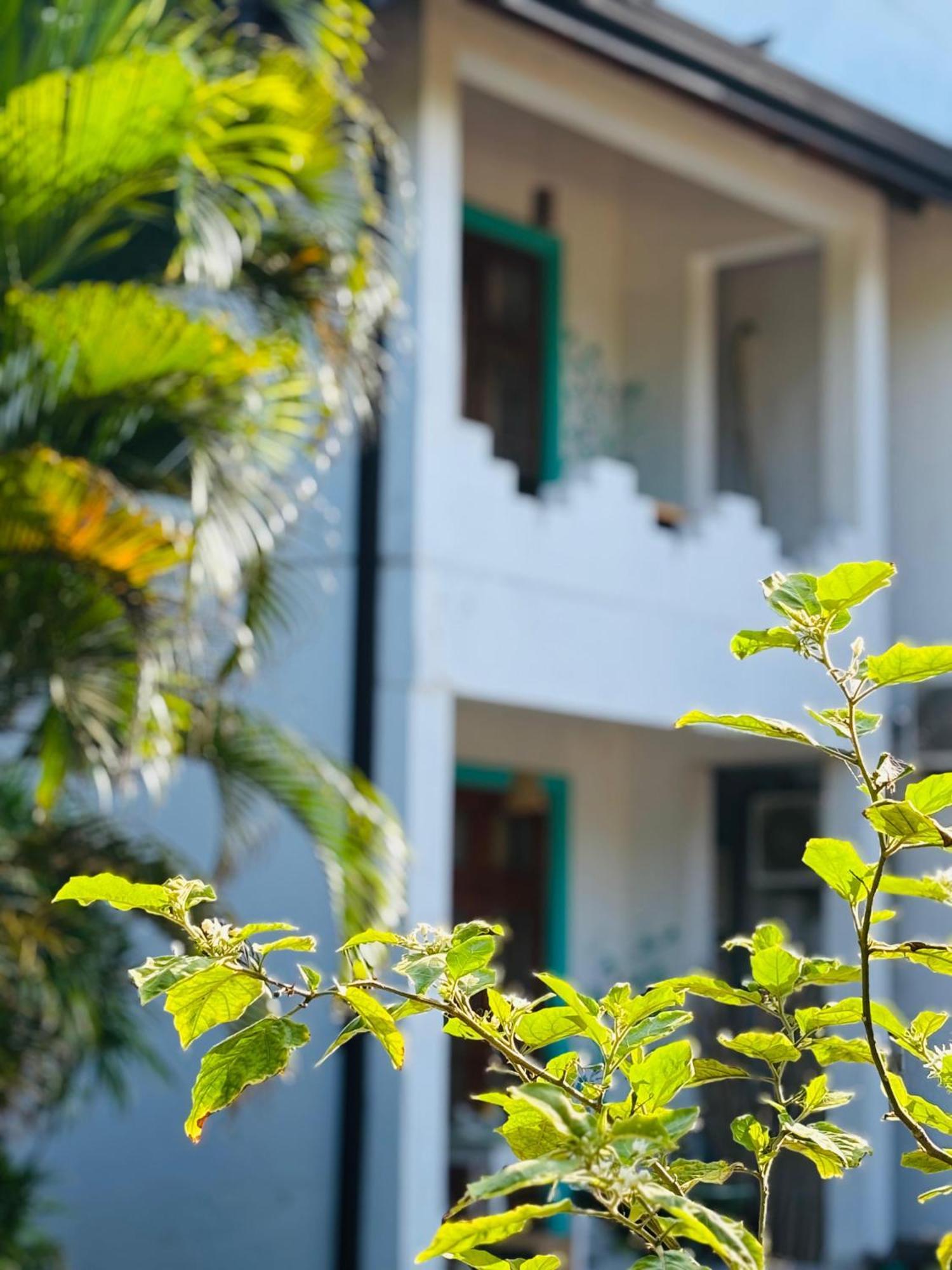Balance Beach Resort ديكويلاّ تين المظهر الخارجي الصورة