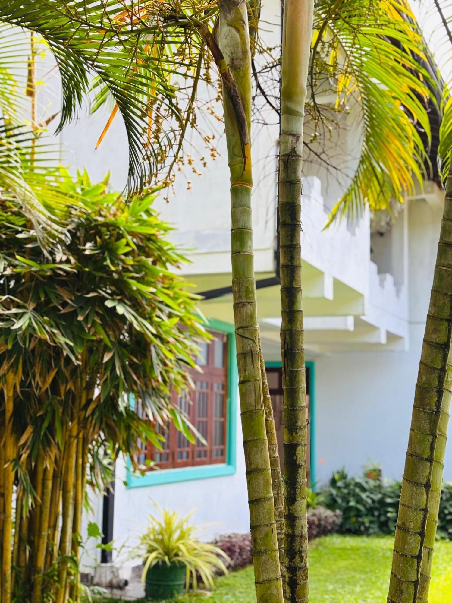 Balance Beach Resort ديكويلاّ تين المظهر الخارجي الصورة