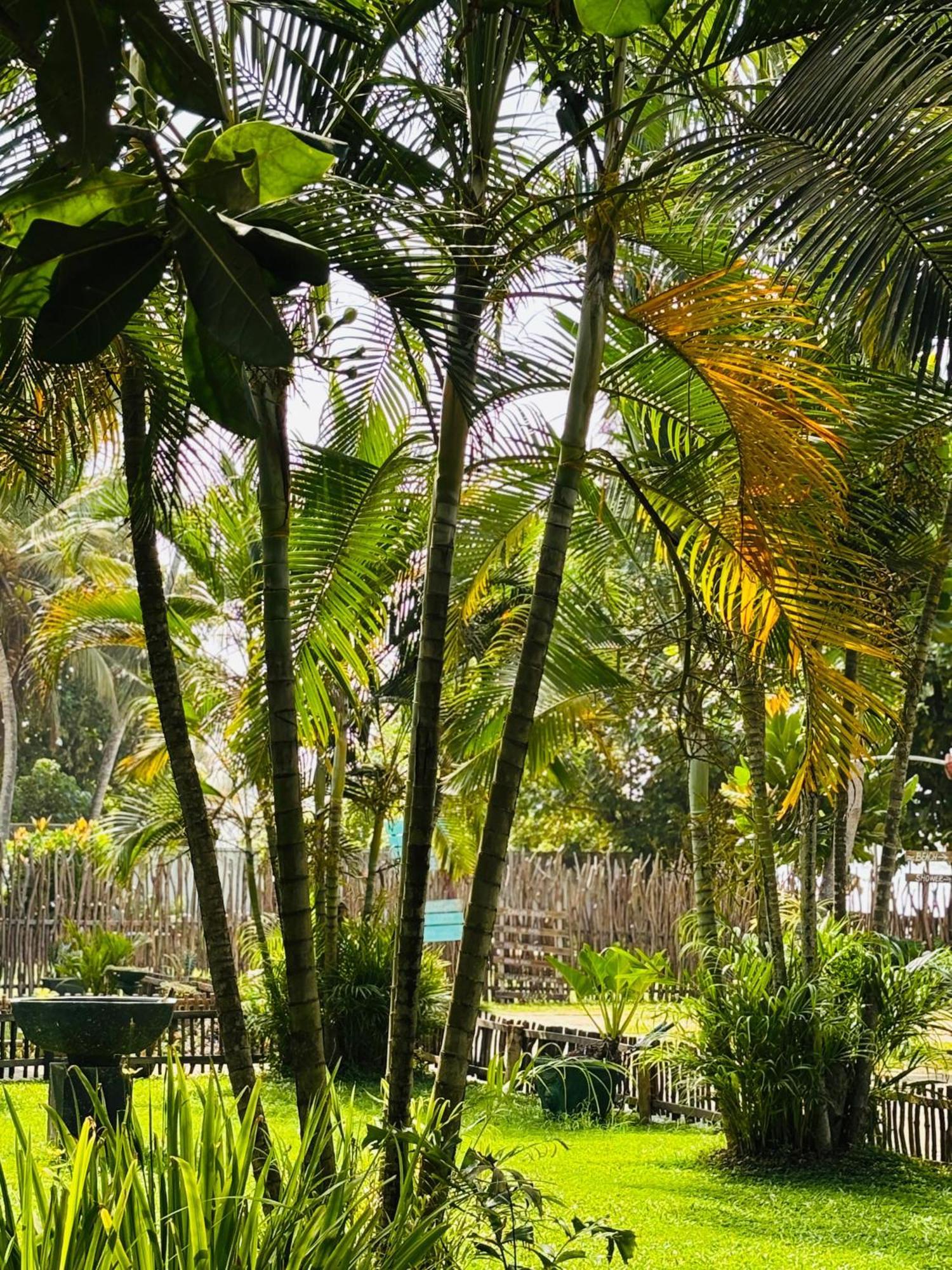 Balance Beach Resort ديكويلاّ تين المظهر الخارجي الصورة